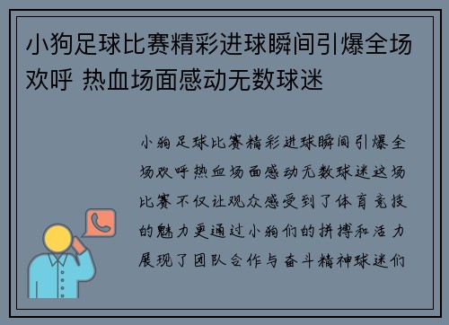 小狗足球比赛精彩进球瞬间引爆全场欢呼 热血场面感动无数球迷