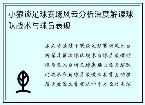 小狼谈足球赛场风云分析深度解读球队战术与球员表现