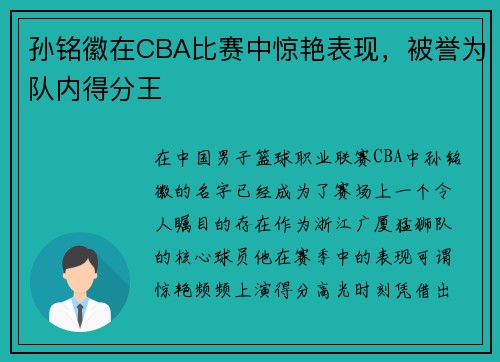 孙铭徽在CBA比赛中惊艳表现，被誉为队内得分王