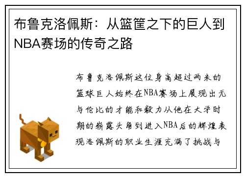 布鲁克洛佩斯：从篮筐之下的巨人到NBA赛场的传奇之路